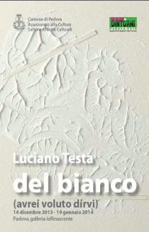 Luciano Testa -del Bianco (avrei voluto dirvi) locandina 2013