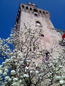 Notturni d'arte 2012. Gli appuntamenti della settimana-La Specola