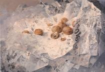 Matteo Massagrande da Voci di una conchiglia.jpg