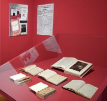 una vetrina della mostra