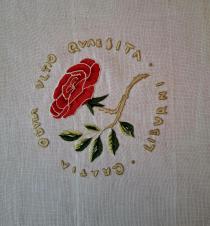 Arte in punta d’ago. Disegni e ricami raccontano il Museo Bottacin Arte in punta d’ago. Disegni e ricami raccontano il Museo Bottacin