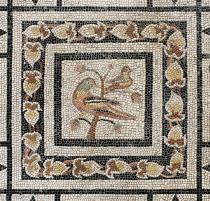 NOTTURNI D'ARTE 2017. Gli appuntamenti della settimana dall'8 al 12 agosto-Mosaico Museo Archeologico di Padova