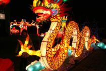 Capodanno Cinese e Festa delle Lanterne 2017-Capodanno Cinese