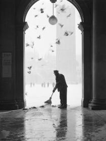 Gustavo Millozzi. Photographs 1958-1979-colombi e neve