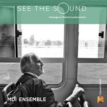 See the Sound il Tour. Concerto di MDI Ensemble