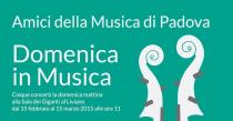 Domenica in Musica 2015-logo