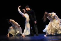Prospettiva Danza Teatro 2014-Giselle-Junior Balletto di Toscana2