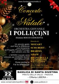 Orchestra giovanile "I Polli(ci)ni". Concerto di Natale
