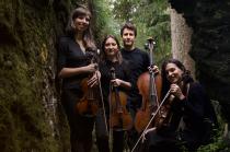 Amici della Musica di PD-58a Stagione concertistica 2014-2015-Quartetto Lyskamm