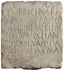 Stele fuenraria dedicata da Purricina al marito Iuvenis, III secolo d.C. (Padova, Musei Civici, Museo Archeologico inv. 73)