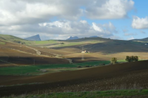 Paesaggio siciliano, 2024, foto di Margherita Bianca