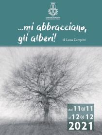 mi abbracciano, gli alberi ! di Luca Zampini