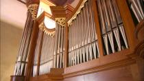 Maggio organistico 2023. Amici della Musica di Padova