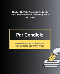 Avviso comunicazione istituzionale nel periodo pre-elettorale