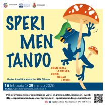 locandina dell'evento