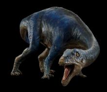 DINOSAURI. Giganti dall'Argentina-Adeopapposaurus