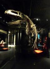 DINOSAURI. Giganti dall'Argentina-Giganotosaurus
