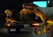 DINOSAURI. Giganti dall'Argentina-Herrerasaurus
