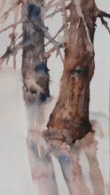 Acquerellisti noi 2015. Acqua e colore Acquerellisti noi 2015. Acqua e colore