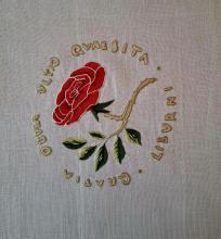 Arte in punta d’ago. Disegni e ricami raccontano il Museo Bottacin