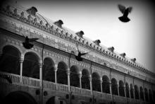 mostra “Ponte d’Arte. Dialogo pittorico e interazioni artistiche tra Cina e Italia”