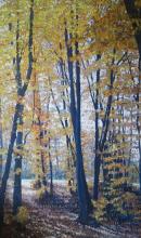 IDA HARM. storie di ALBERI