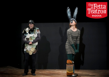 Il brutto brutto anatroccolo