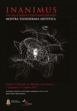 INANIMUS. Un bestiario contemporaneo. Mostra Tassidermia Artistica INANIMUS. Un bestiario contemporaneo. Mostra Tassidermia Artistica