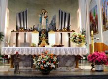 I Concerti del Centro Organistico Padovano-56 ciclo-Organo e altare santuario Madonna Pellegrina