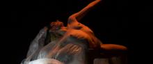 XX Festival Internazionale La Sfera Danza. Edizione 2023