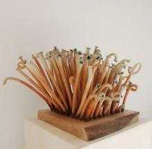 IMPRONTE VEGETALI. Arte ceramica contemporanea