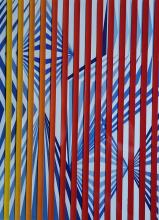 Esperimenti di pittura cinetico cromatico visiva. di Giovanni Mariano Zorzi