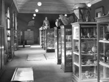 sala archeologica del Museo al Santo